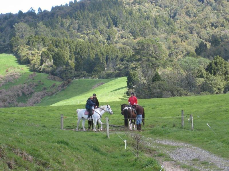 Kaimai Country Lodge Катикати Екстериор снимка