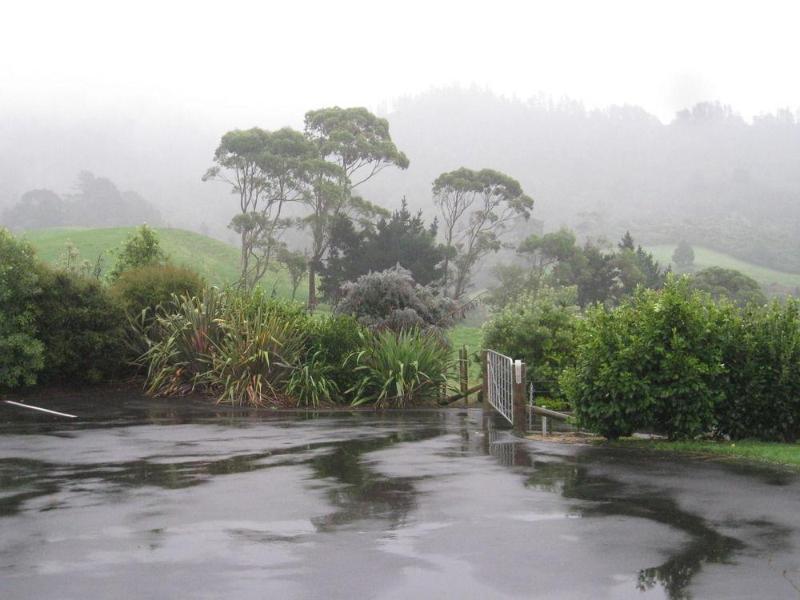Kaimai Country Lodge Катикати Екстериор снимка
