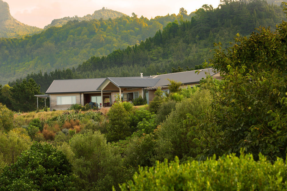 Kaimai Country Lodge Катикати Екстериор снимка