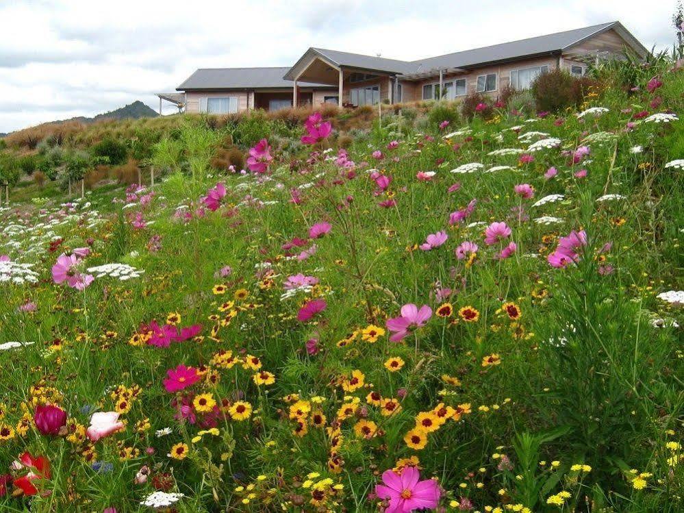 Kaimai Country Lodge Катикати Екстериор снимка