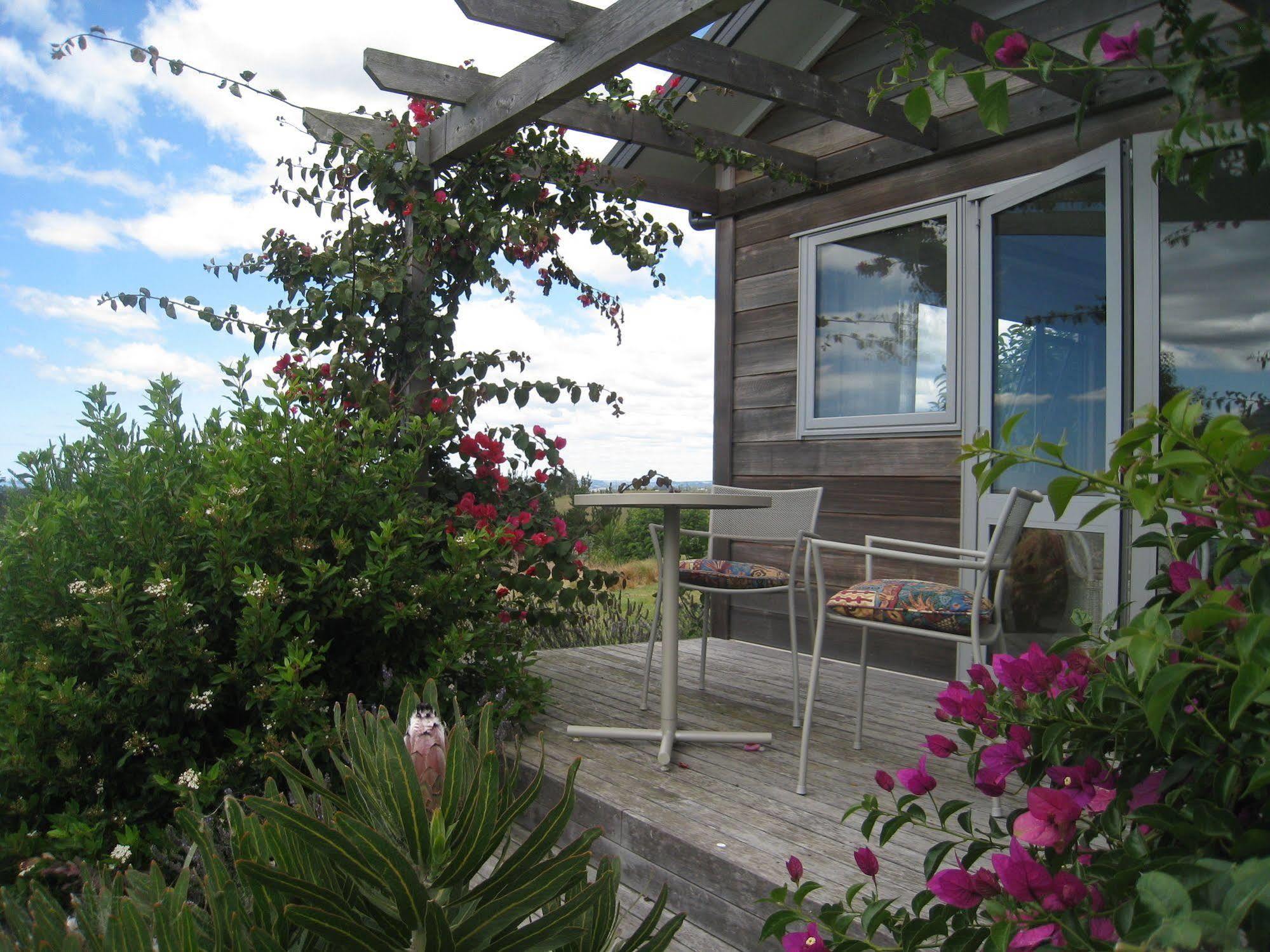 Kaimai Country Lodge Катикати Екстериор снимка